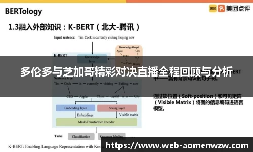 多伦多与芝加哥精彩对决直播全程回顾与分析